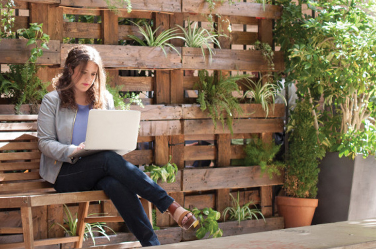 global Interrupción Caucho Comprar plantas al por mayor online - Rograplant