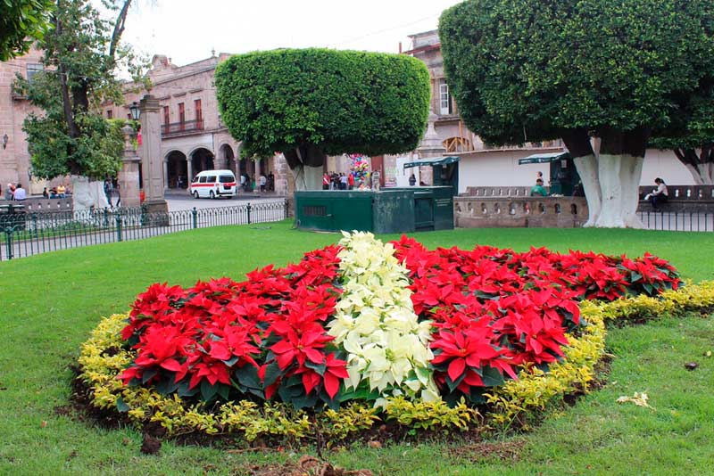 Ideas para decorar jardines en Navidad