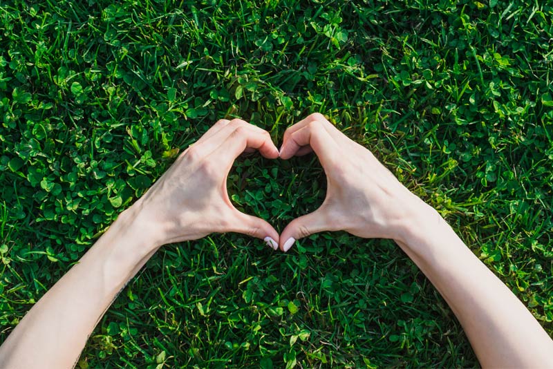 Cómo decorar tu jardín en San Valentín