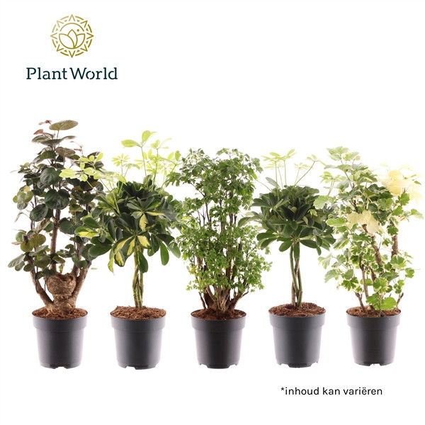 0d62b7c31d8e49062c7d9bb7222ae629