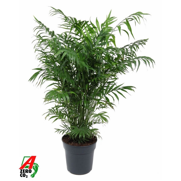 2bc535d48d6749dc767b310dd6b77018