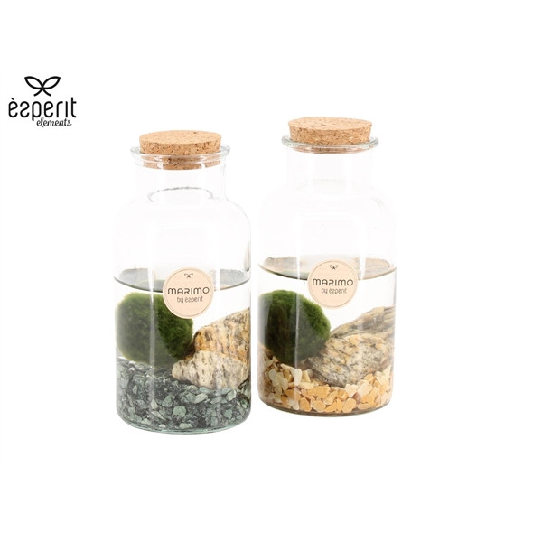 36c7cddd3626dd75072af555e0eaf736