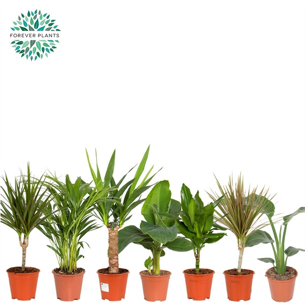 405c4fb57bb9d639dc662a3b74c3e516