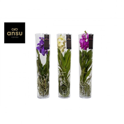 425-288471ab79594ab11c4af2726775d1ca