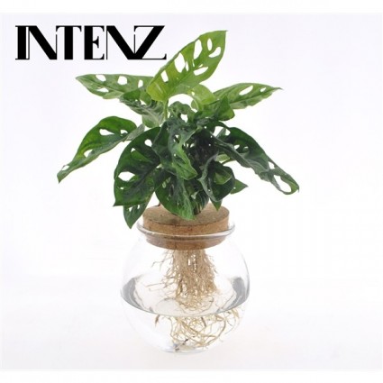 425-60cc3ee6ff67f3bb32dab54381e77fa1