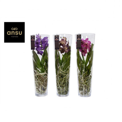 425-64fdc0080294353fe37bf66d1522d9b8