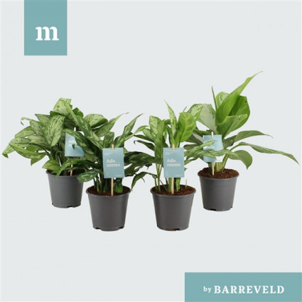 425-822e99e3de137b2a1b6dfa51d7928a6c