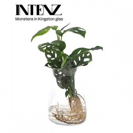 425-88f598bf23b56f134cca9cc659cfab5b