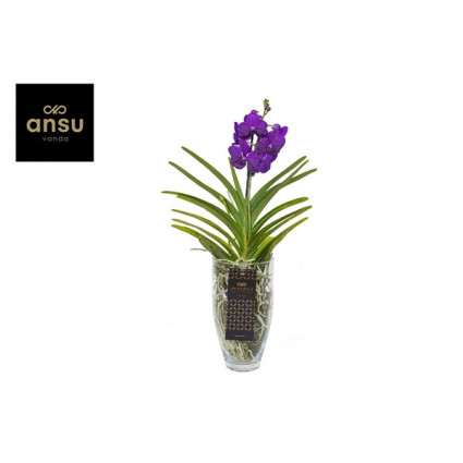 425-a64b6dbae91b17a186aed64a0749d131