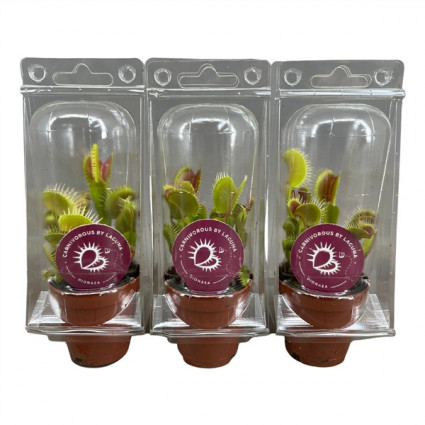 425-bfde06ac27426669ce25f93969507f20