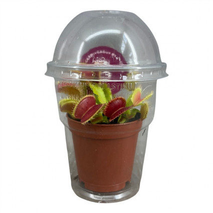 425-c49655d8ea0cacb9c0e6ccdd32830732