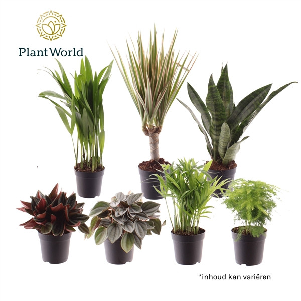 464a0313dbb3f5827560f03b26c9cc99