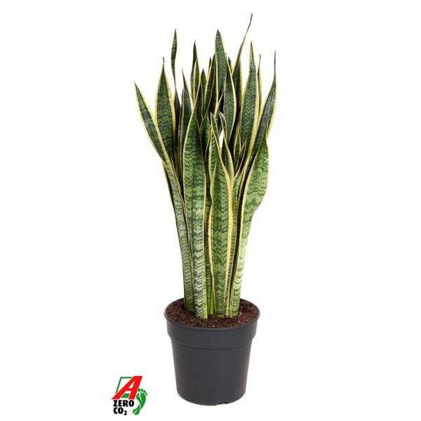 4697be12a0991719d2ca27c569858961