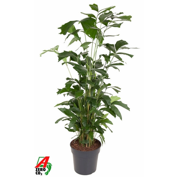 5744743e7be836adf7f117f803b62727