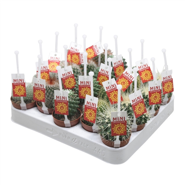 741700dc3ca2717d523dd97b31e645c6