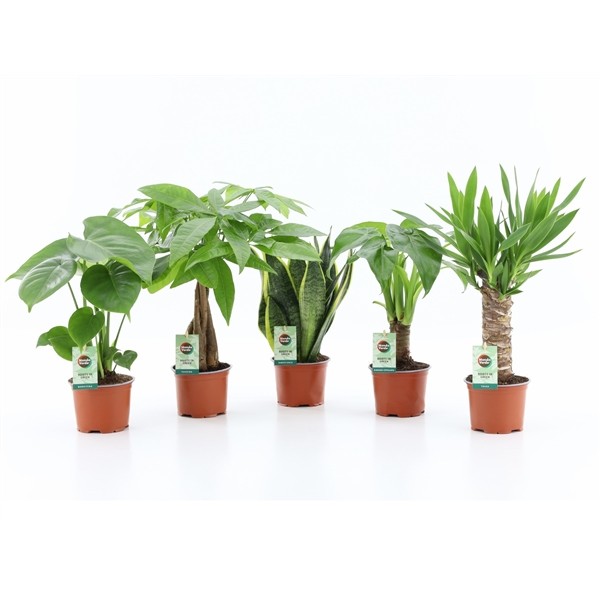 76b7f992bb9b1b7e90344448b9e2e3bc