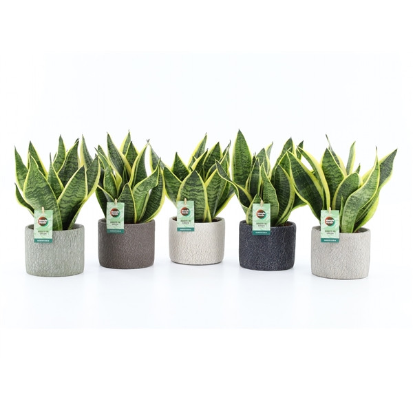 b37a03e71a5d05770b32dd533040e320