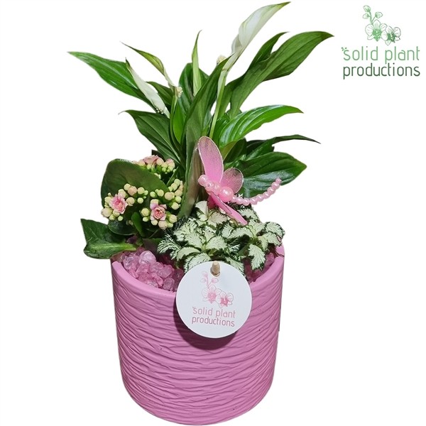 bbe60a74d9004d859d12673ede30ade4