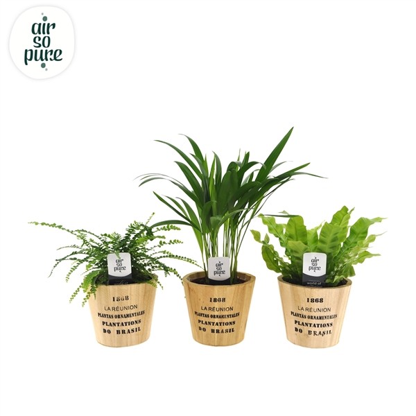 d62aa87e4c67c134a1ed3a520380805b