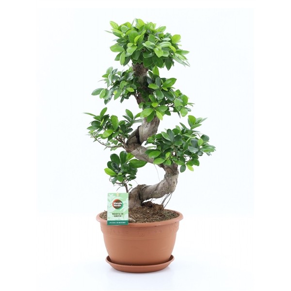 dff94da5884234daff06c7ab9b151c61